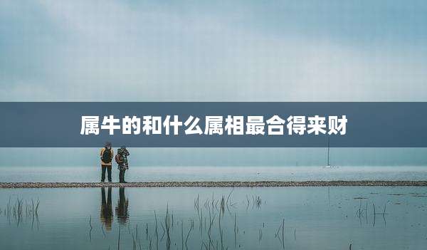 属牛的和什么属相最合得来财