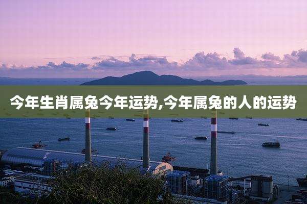 今年生肖属兔今年运势,今年属兔的人的运势