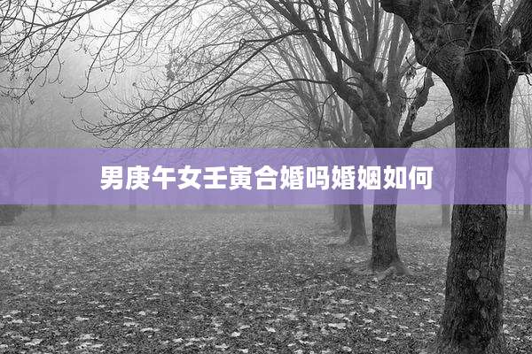 男庚午女壬寅合婚吗婚姻如何