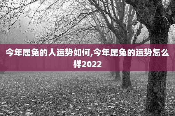 今年属兔的人运势如何,今年属兔的运势怎么样2022