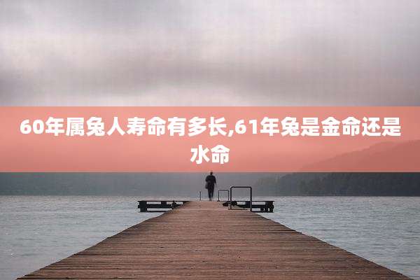 60年属兔人寿命有多长,61年兔是金命还是水命