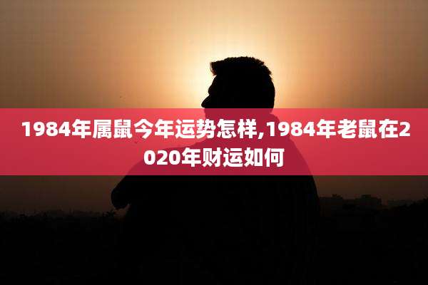 1984年属鼠今年运势怎样,1984年老鼠在2020年财运如何
