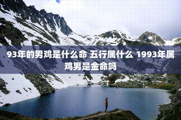 93年的男鸡是什么命 五行属什么 1993年属鸡男是金命吗