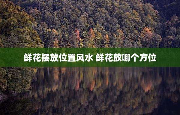 鲜花摆放位置风水 鲜花放哪个方位
