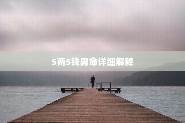 5两5钱男命详细解释