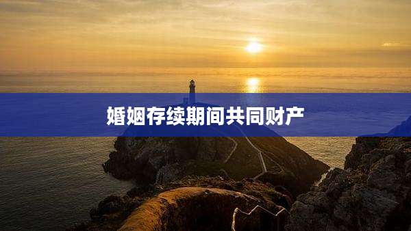 婚姻存续期间共同财产
