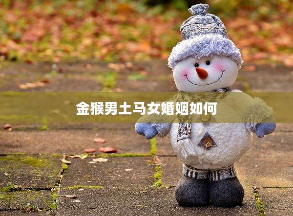 金猴男土马女婚姻如何