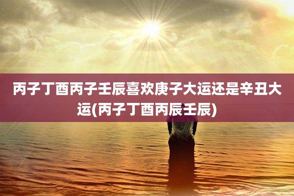 丙子丁酉丙子壬辰喜欢庚子大运还是辛丑大运(丙子丁酉丙辰壬辰)