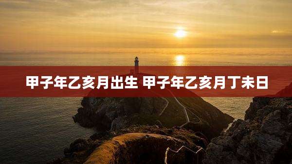甲子年乙亥月出生 甲子年乙亥月丁未日