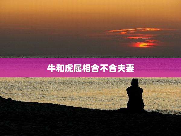 牛和虎属相合不合夫妻