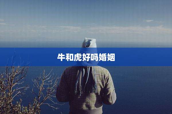 牛和虎好吗婚姻