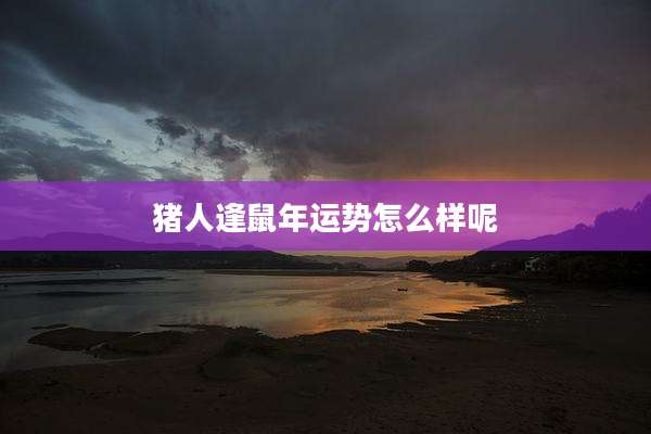 猪人逢鼠年运势怎么样呢