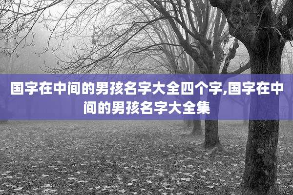 国字在中间的男孩名字大全四个字,国字在中间的男孩名字大全集