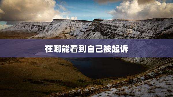 在哪能看到自己被起诉