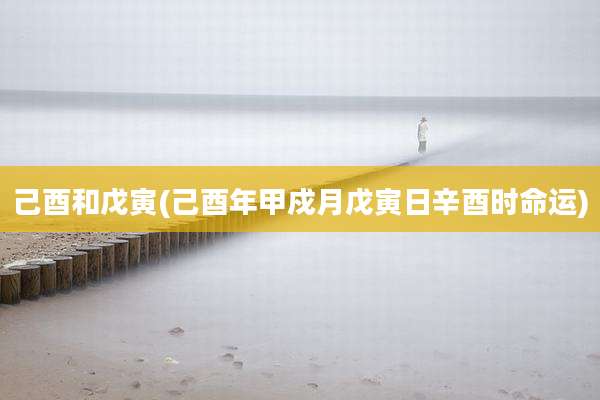 己酉和戊寅(己酉年甲戍月戊寅日辛酉时命运)