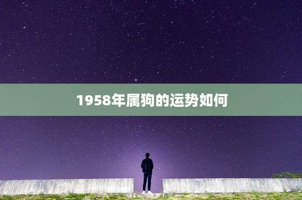 1958年属狗的运势如何