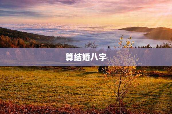 算结婚八字