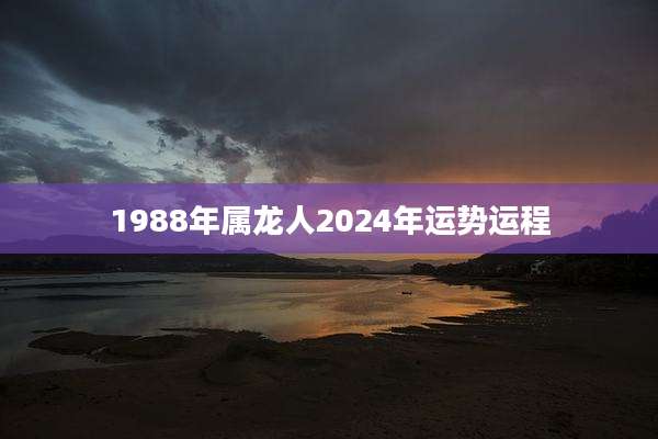 1988年属龙人2024年运势运程