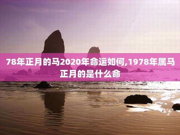 78年正月的马2020年命运如何,1978年属马正月的是什么命