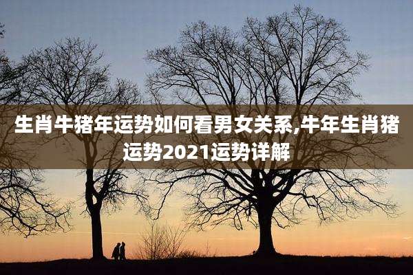 生肖牛猪年运势如何看男女关系,牛年生肖猪运势2021运势详解