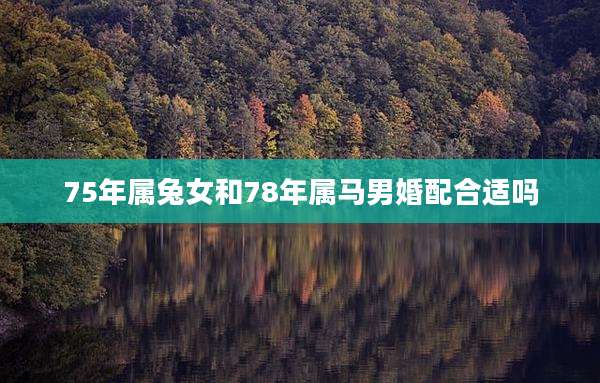 75年属兔女和78年属马男婚配合适吗