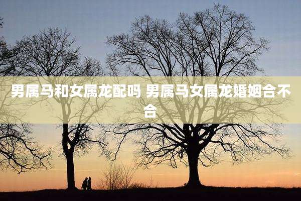 男属马和女属龙配吗 男属马女属龙婚姻合不合