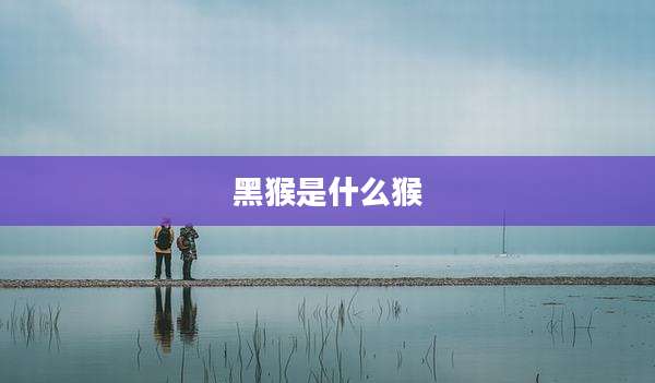 黑猴是什么猴
