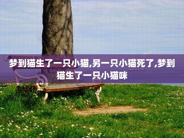 梦到猫生了一只小猫,另一只小猫死了,梦到猫生了一只小猫咪