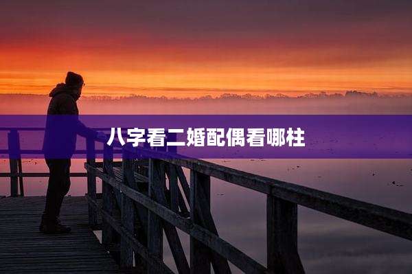 八字看二婚配偶看哪柱