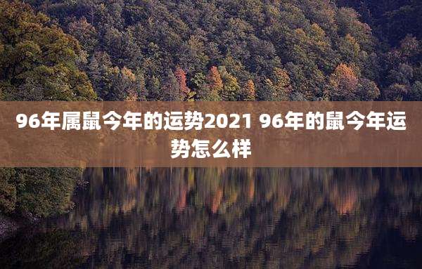 96年属鼠今年的运势2021 96年的鼠今年运势怎么样