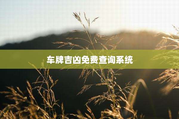 车牌吉凶免费查询系统