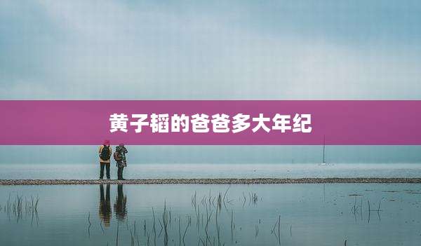 黄子韬的爸爸多大年纪
