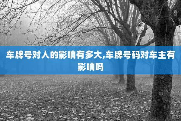车牌号对人的影响有多大,车牌号码对车主有影响吗