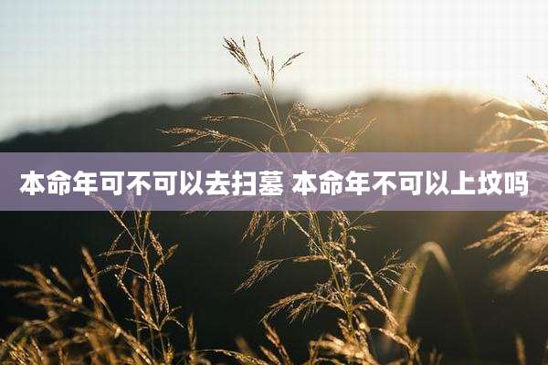 本命年可不可以去扫墓 本命年不可以上坟吗