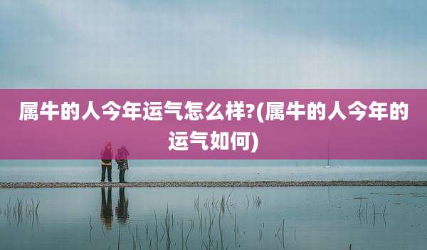 属牛的人今年运气怎么样?(属牛的人今年的运气如何)