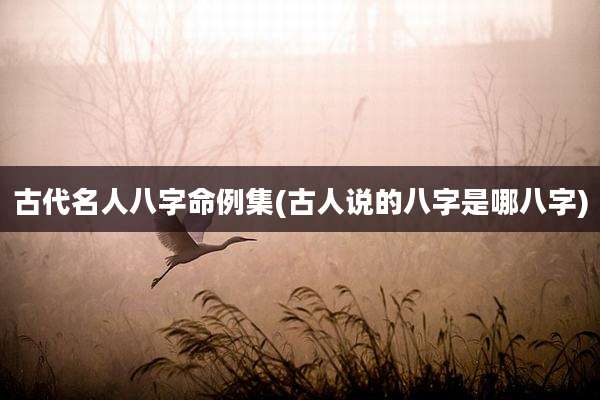 古代名人八字命例集(古人说的八字是哪八字)