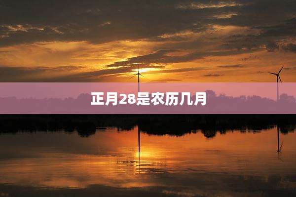 正月28是农历几月