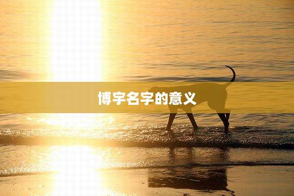 博宇名字的意义