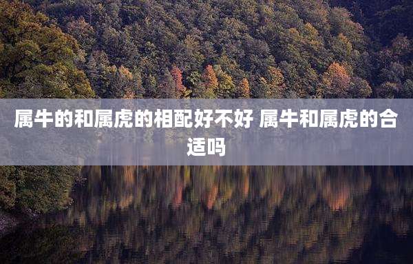 属牛的和属虎的相配好不好 属牛和属虎的合适吗