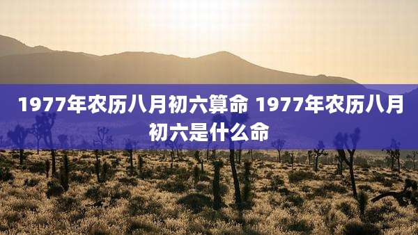 1977年农历八月初六算命 1977年农历八月初六是什么命