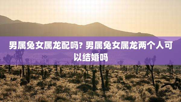 男属兔女属龙配吗? 男属兔女属龙两个人可以结婚吗
