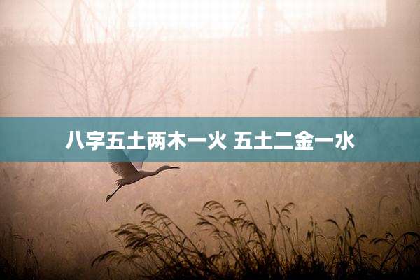 八字五土两木一火 五土二金一水