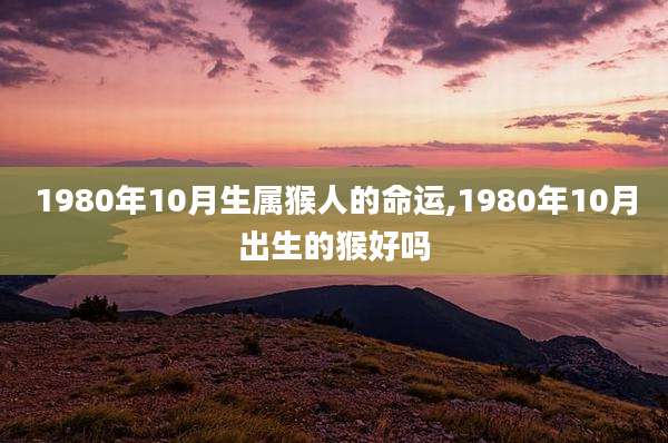 1980年10月生属猴人的命运,1980年10月出生的猴好吗