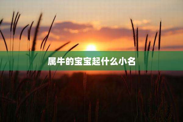 属牛的宝宝起什么小名