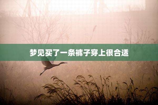 梦见买了一条裤子穿上很合适