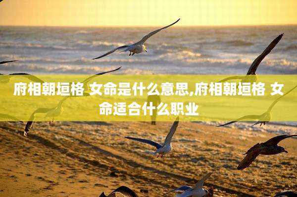 府相朝垣格 女命是什么意思,府相朝垣格 女命适合什么职业
