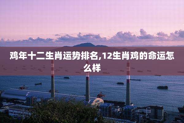 鸡年十二生肖运势排名,12生肖鸡的命运怎么样