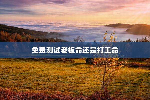 免费测试老板命还是打工命