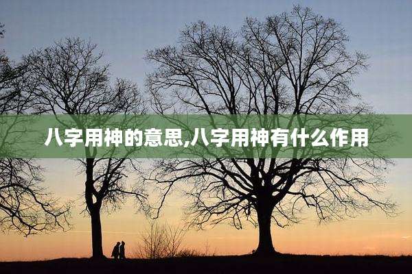 八字用神的意思,八字用神有什么作用