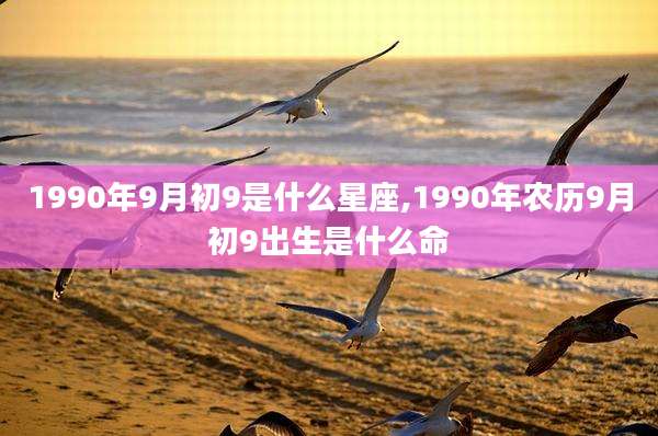1990年9月初9是什么星座,1990年农历9月初9出生是什么命
